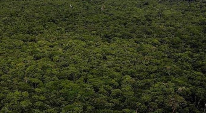 COP32 Accueillie par L’Éthiopie en 2027 COP32 Accueillie par L'Éthiopie en 2027