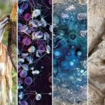 Un Monde À Découvrir: Atomes aux ÉToiles Un Monde À Découvrir: Atomes aux ÉToiles