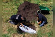 Compostage Funéraire une Alternative Écologique Compostage Funéraire une Alternative Écologique