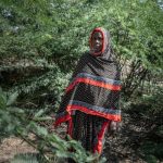 Le Fléau du Prosopis en Éthiopie Le Fléau du Prosopis en Éthiopie