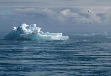 Changement Climatique Polaire et Risques Sanitaires Mondiaux Changement Climatique Polaire et Risques Sanitaires Mondiaux