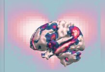 Amour Romantique, Parental, Amical ou Animal: le Plus Fort? Amour Romantique, Parental, Amical ou Animal: le Plus Fort?