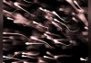Augmentation des Mutations Délétères des Spermatozoïdes Augmentation des Mutations Délétères des Spermatozoïdes