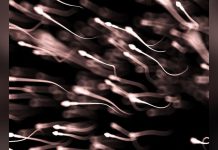 Augmentation des Mutations Délétères des Spermatozoïdes Augmentation des Mutations Délétères des Spermatozoïdes