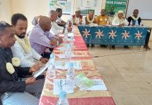 Environnement-Mohéli: Association Noé Finalise Projets 2025 Environnement-Mohéli: Association Noé Finalise Projets 2025