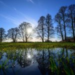 Le Silence Est-Il un Son? Le Silence Est-Il un Son?