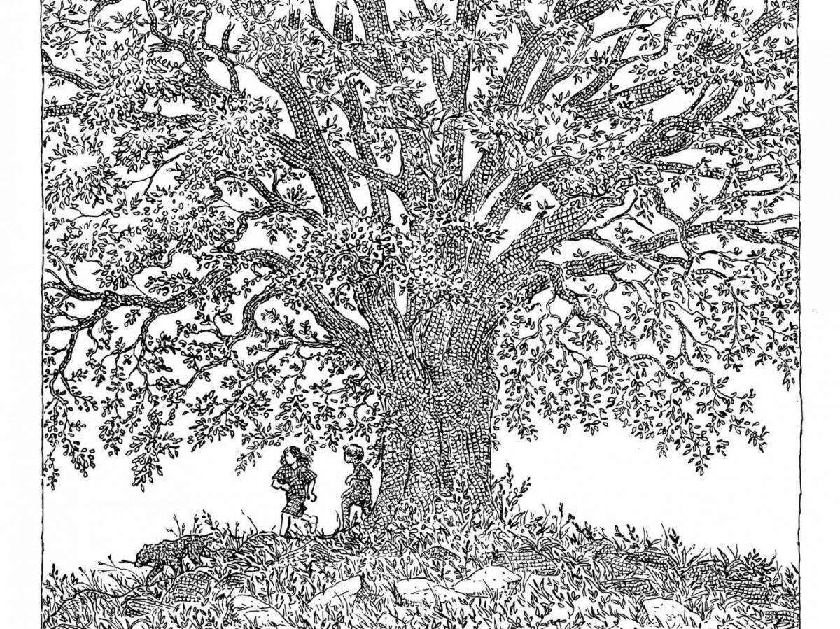 L’Homme qui Plantait des Arbres Revisité en Dessins L’Homme qui Plantait des Arbres Revisité en Dessins