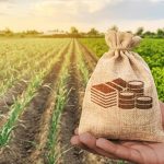 La Terre Africaine sous le Poids des Capitaux La Terre Africaine sous le Poids des Capitaux