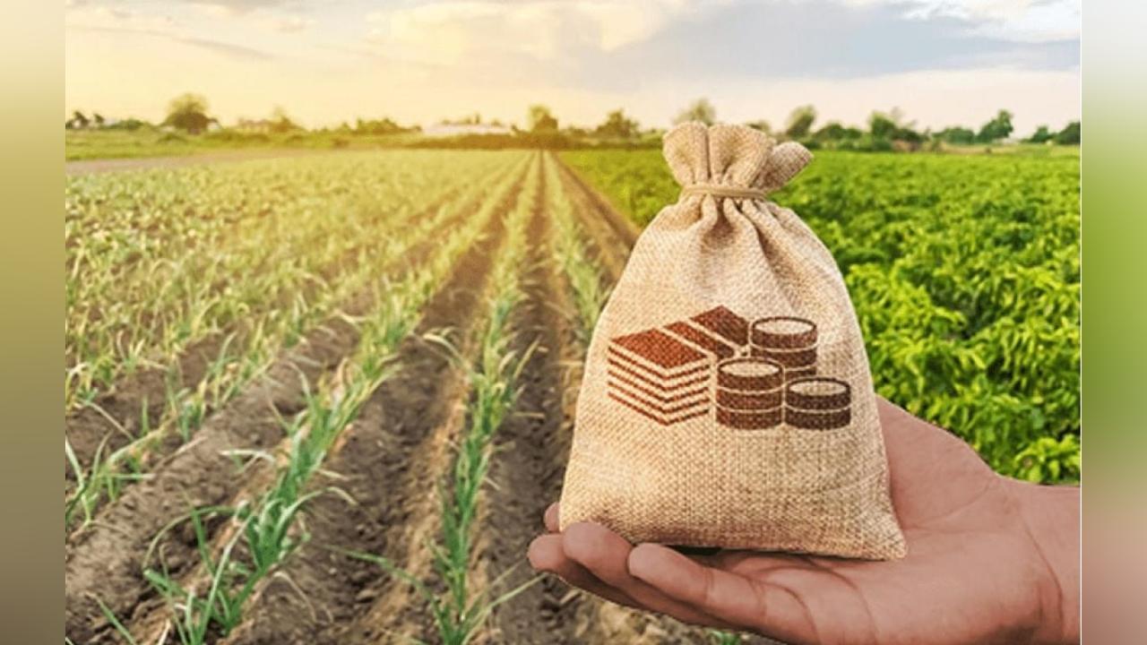 La Terre Africaine sous le Poids des Capitaux La Terre Africaine sous le Poids des Capitaux