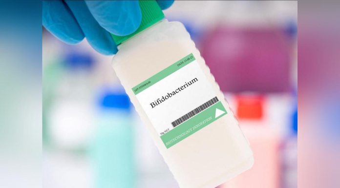 Des Bactéries Améliorent la Santé Mentale Des Bactéries Améliorent la Santé Mentale