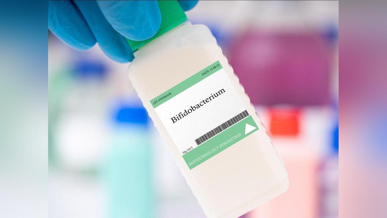 Des Bactéries Améliorent la Santé Mentale Des Bactéries Améliorent la Santé Mentale