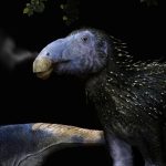 Haolong Dongi, le Dinosaure Hérisson Inhabituel Haolong Dongi, le Dinosaure Hérisson Inhabituel