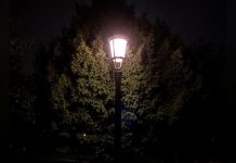 L’éclairage Urbain a un Effet Étonnant sur Vos Allergies L’éclairage Urbain a un Effet Étonnant sur Vos Allergies