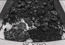 Bennu Contient les Éléments Essentiels du Vivant Bennu Contient les Éléments Essentiels du Vivant