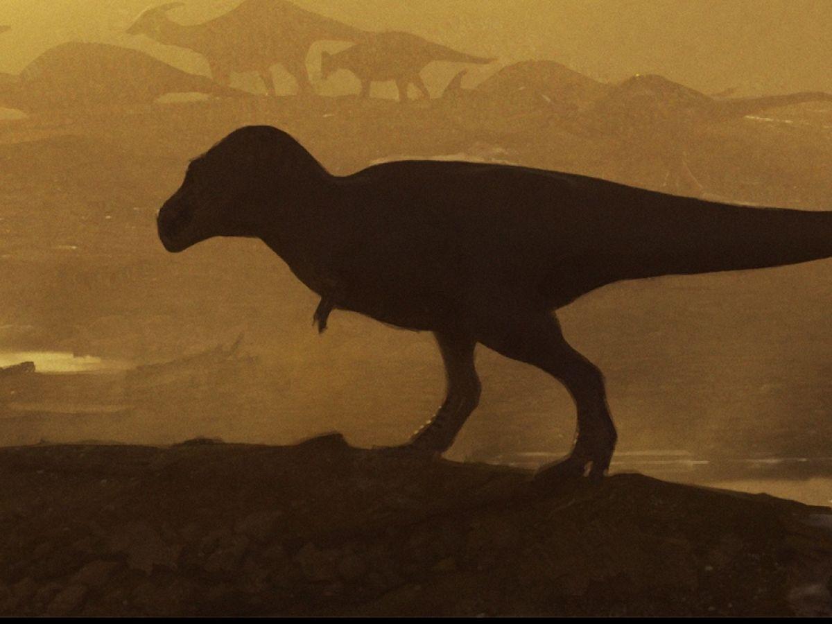 Découverte D’Un Ancêtre Géant du T.Rex au Nouveau-Mexique Découverte D’Un Ancêtre Géant du T.Rex au Nouveau-Mexique