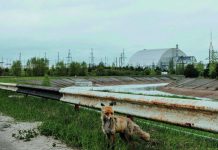 Tchernobyl Laboratoire Naturel de L’Évolution Irradiée Tchernobyl Laboratoire Naturel de L’Évolution Irradiée
