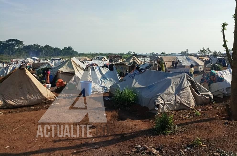 Situation des déplacés en RDC : Filippo Grandi note une amélioration au Kasaï mais reste préoccupé pour la situation dans l’est du pays Situation des déplacés en RDC : Filippo Grandi note une amélioration au Kasaï mais reste préoccupé pour la situation dans l’est du pays