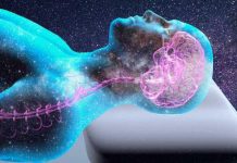 Attention à votre sommeil, votre cerveau en a absolument besoin pour se « nettoyer » pendant la nuit ! Attention à votre sommeil, votre cerveau en a absolument besoin pour se « nettoyer » pendant la nuit !