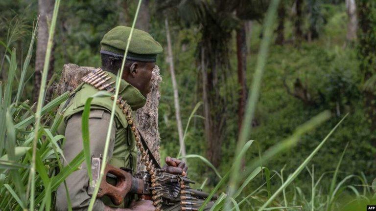 Beni : Encore 3 civils tués par des ADF à Rwenzori Beni : Encore 3 civils tués par des ADF à Rwenzori