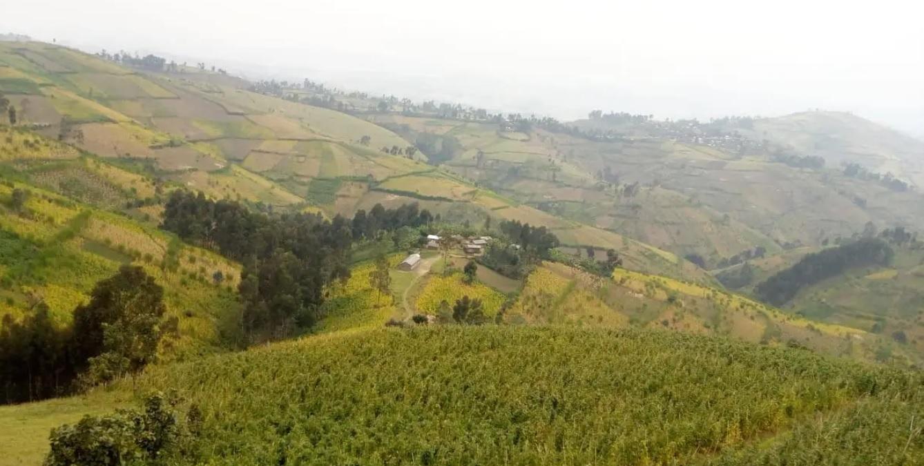 Nord-Kivu: 8 combattants APCLS acceptent de se rendre aux FARDC à Masisi Nord-Kivu: 8 combattants APCLS acceptent de se rendre aux FARDC à Masisi