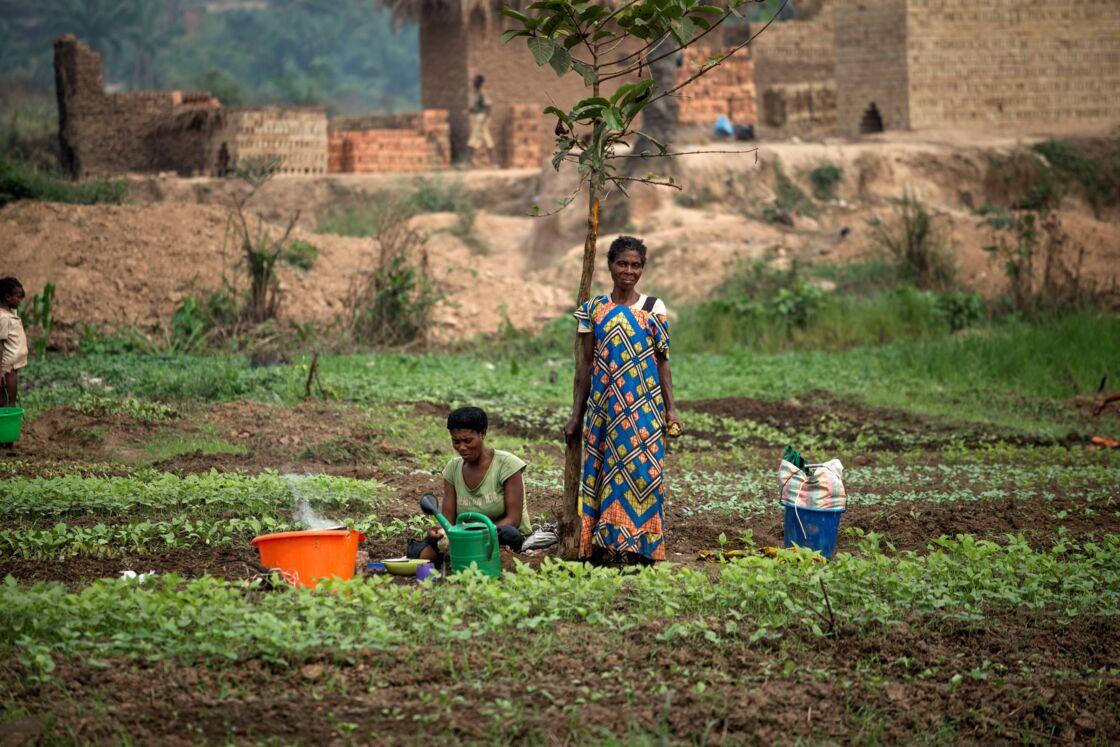 Tanganyika : des inconnus larguent des tracts interdisant à la population de Kisengo d'accéder aux champs Tanganyika : des inconnus larguent des tracts interdisant à la population de Kisengo d'accéder aux champs