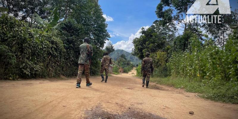 l'armée annonce avoir perdu au moins 2.000 soldats depuis 2014 dans le territoire de Beni l'armée annonce avoir perdu au moins 2.000 soldats depuis 2014 dans le territoire de Beni