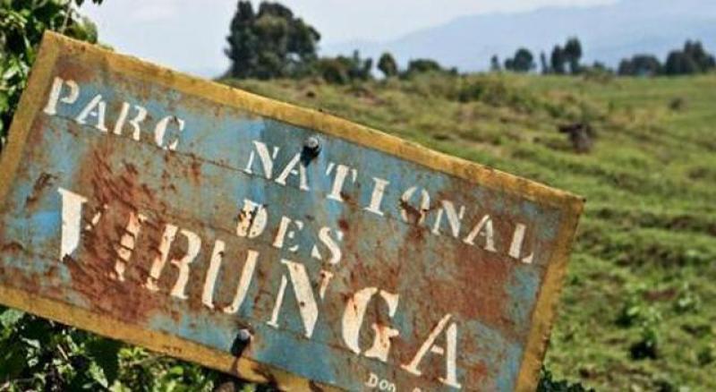 Une ONG ougandaise appelle Kinshasa à annuler l’arrêté autorisant l’abattage des espèces protégées, elle dit craindre pour des animaux des parcs ougandais qui parfois traversent la frontière congolaise Une ONG ougandaise appelle Kinshasa à annuler l’arrêté autorisant l’abattage des espèces protégées, elle dit craindre pour des animaux des parcs ougandais qui parfois traversent la frontière congolaise
