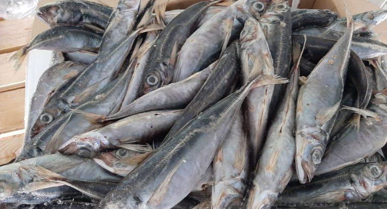 Malgré l’accord signé avec le gouvernement, les prix des produits surgelés toujours en hausse Malgré l’accord signé avec le gouvernement, les prix des produits surgelés toujours en hausse