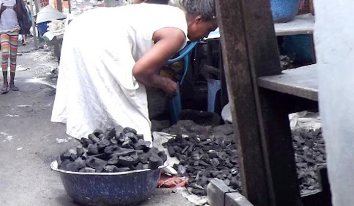 La ville de Kinshasa consomme 17 millions de tonnes de bois par an (CIRAD) La ville de Kinshasa consomme 17 millions de tonnes de bois par an (CIRAD)