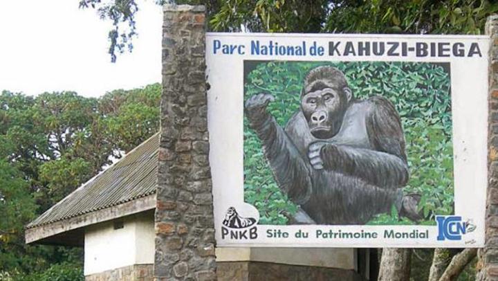 Shabunda : un animal terrorise des habitants, une plainte envisagée contre l’ICCN Shabunda : un animal terrorise des habitants, une plainte envisagée contre l’ICCN