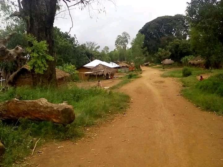 Beni : des morts et des maisons incendiées par des rebelles ADF à Kisunga Beni : des morts et des maisons incendiées par des rebelles ADF à Kisunga