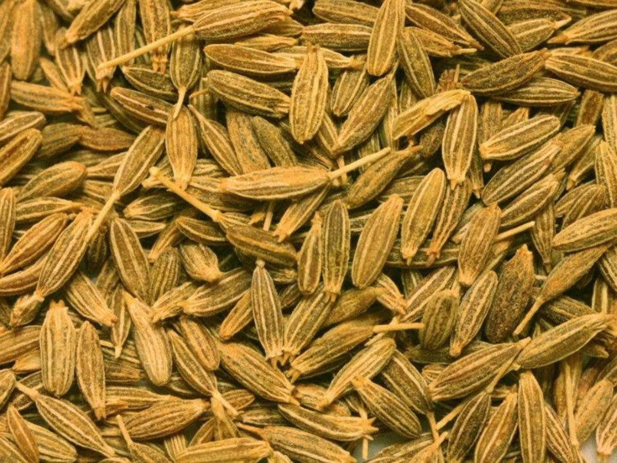 11 vertus et bienfaits du cumin sur la santé 11 vertus et bienfaits du cumin sur la santé
