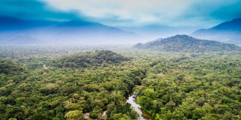 BASSIN DU CONGO : pour protéger la forêt, plus de 3 Md$ annoncé lors de la COP 26