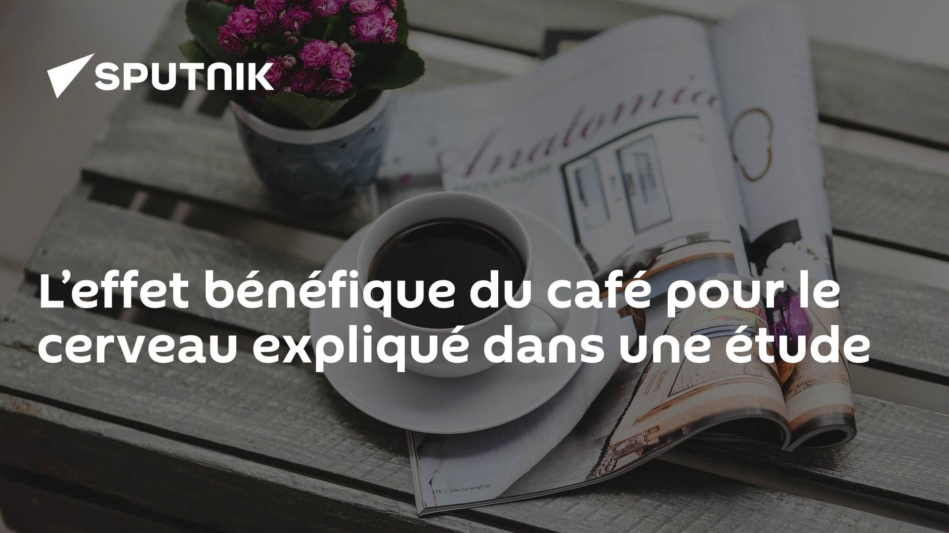L’effet bénéfique du café pour le cerveau expliqué dans une étude L’effet bénéfique du café pour le cerveau expliqué dans une étude