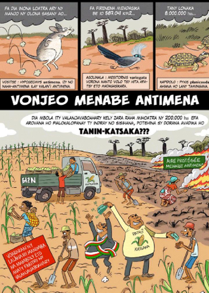 Aire Protégée Menabe Antimena : L’AVG réclame sa fermeture hermétique Aire Protégée Menabe Antimena : L’AVG réclame sa fermeture hermétique