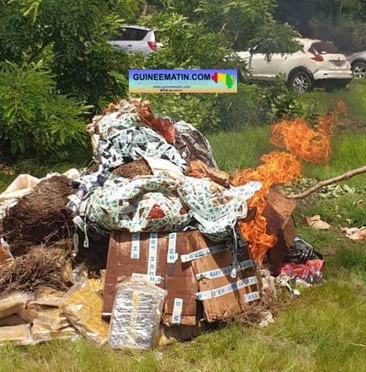 Siguiri : plus de 650 Kg de chanvre indien incinérés par le parquet Siguiri : plus de 650 Kg de chanvre indien incinérés par le parquet