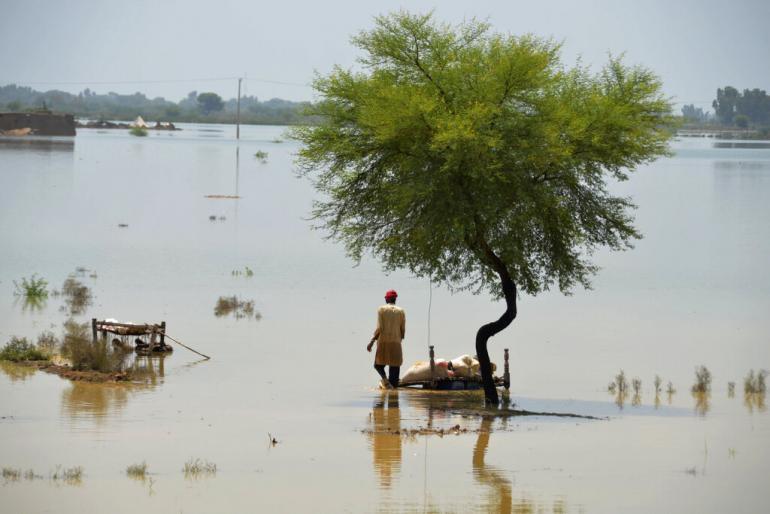 Réchauffement climatique : la planète atteint de nouveau des points de bascule, alertent les scientifiques Réchauffement climatique : la planète atteint de nouveau des points de bascule, alertent les scientifiques