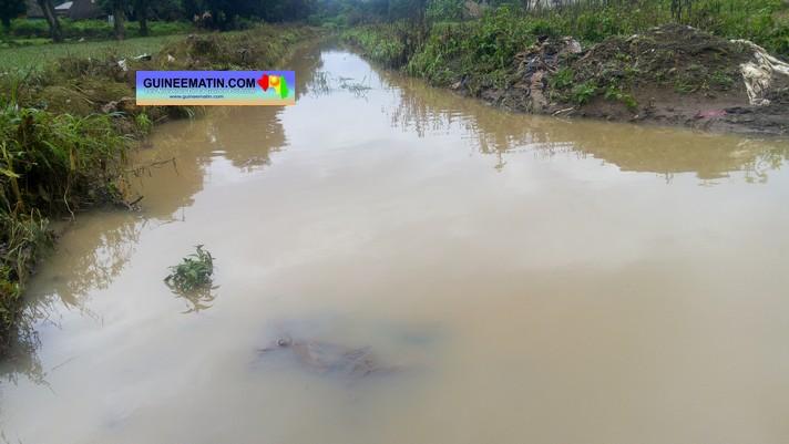 Noyade au large de Conakry : Aly Badara Camara condamné pour non-assistance à personne en danger Noyade au large de Conakry : Aly Badara Camara condamné pour non-assistance à personne en danger