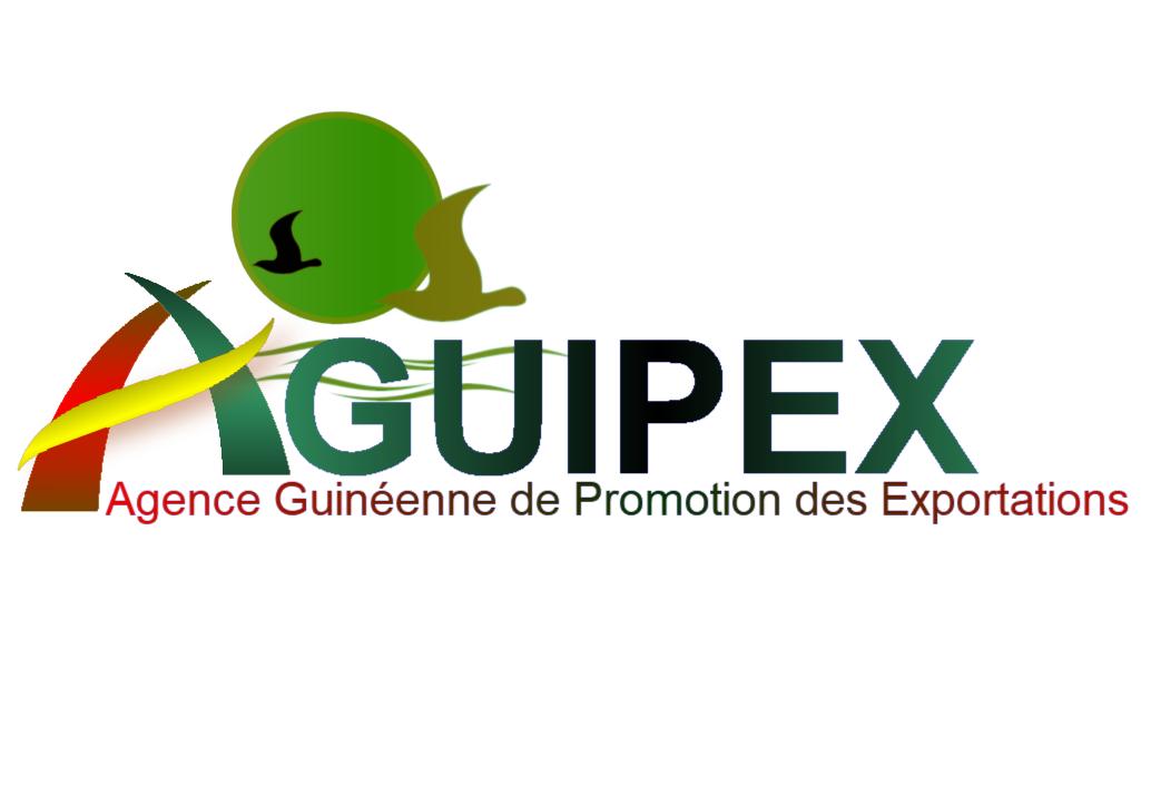 Détournement de plus de 300 millions GNF : Mohamed Kalako et Fodé Yansané de l’AGUIPEX jugés au TPI de Kaloum