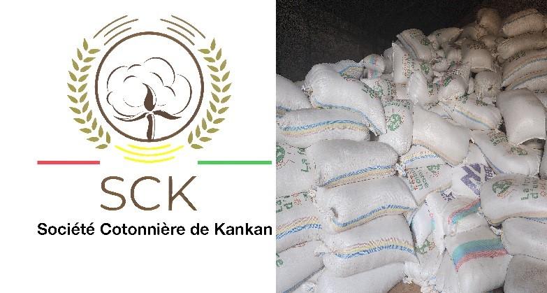 La SCK SA recherche des huileries et savonneries avec lesquelles elle signera des conventions de vente de graine de coton La SCK SA recherche des huileries et savonneries avec lesquelles elle signera des conventions de vente de graine de coton