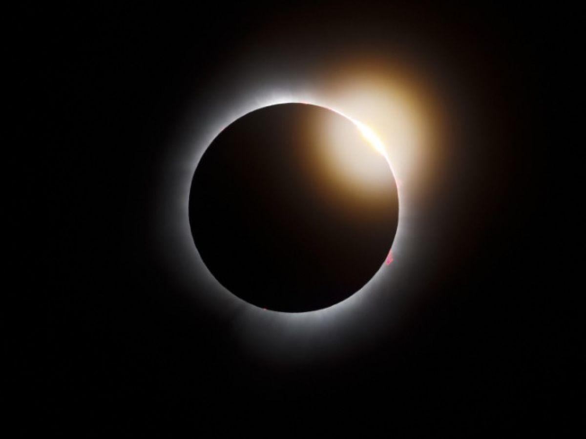 L’Intrigante Réponse des Oiseaux Lors D’Une Éclipse Totale de Soleil L’Intrigante Réponse des Oiseaux Lors D’Une Éclipse Totale de Soleil
