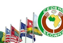 50 Ans de la Cedeao : comment Incarner la Voix des Peuples 50 Ans de la Cedeao : comment Incarner la Voix des Peuples