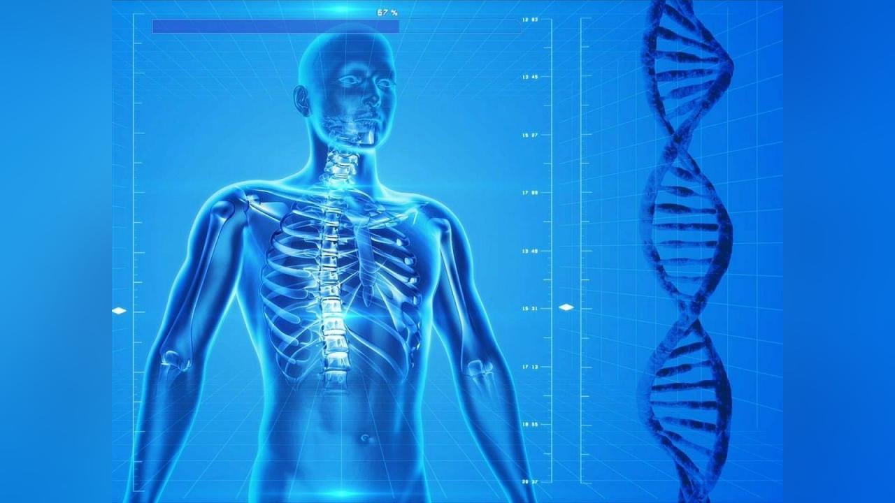 Comment L’Humain Va-T-Il ÉVoluer? Comment L’Humain Va-T-Il ÉVoluer?