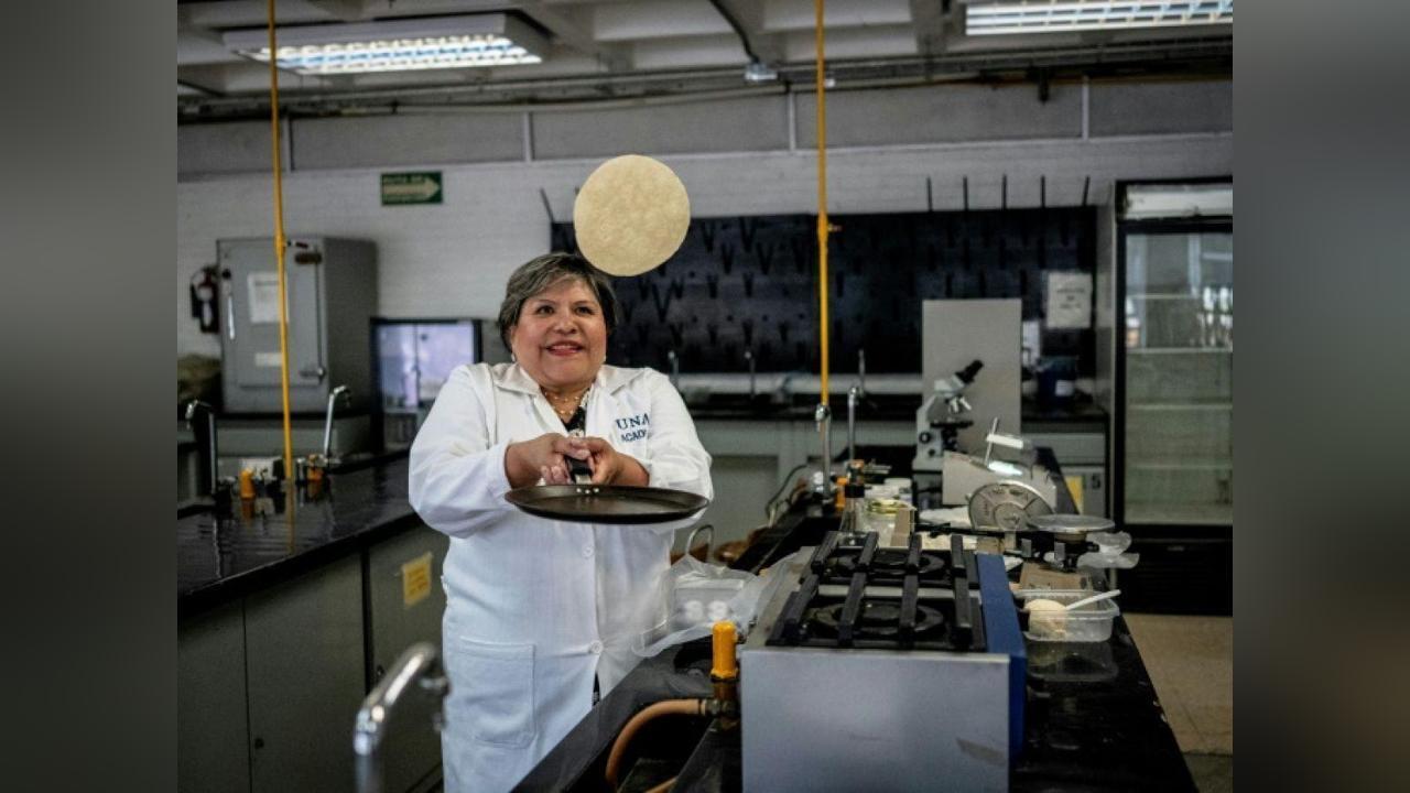 Tortilla Expérimentale à Longue Conservation au Mexique Tortilla Expérimentale à Longue Conservation au Mexique