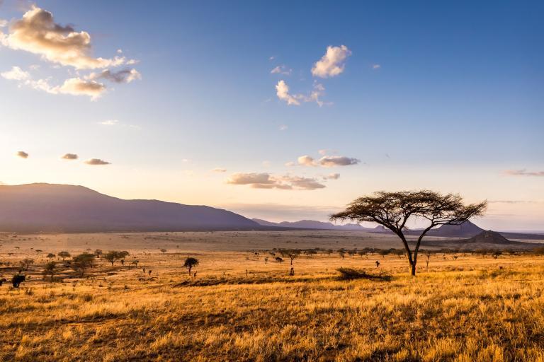 Des Pays Africains Victimes de la Crise Climatique Des Pays Africains Victimes de la Crise Climatique