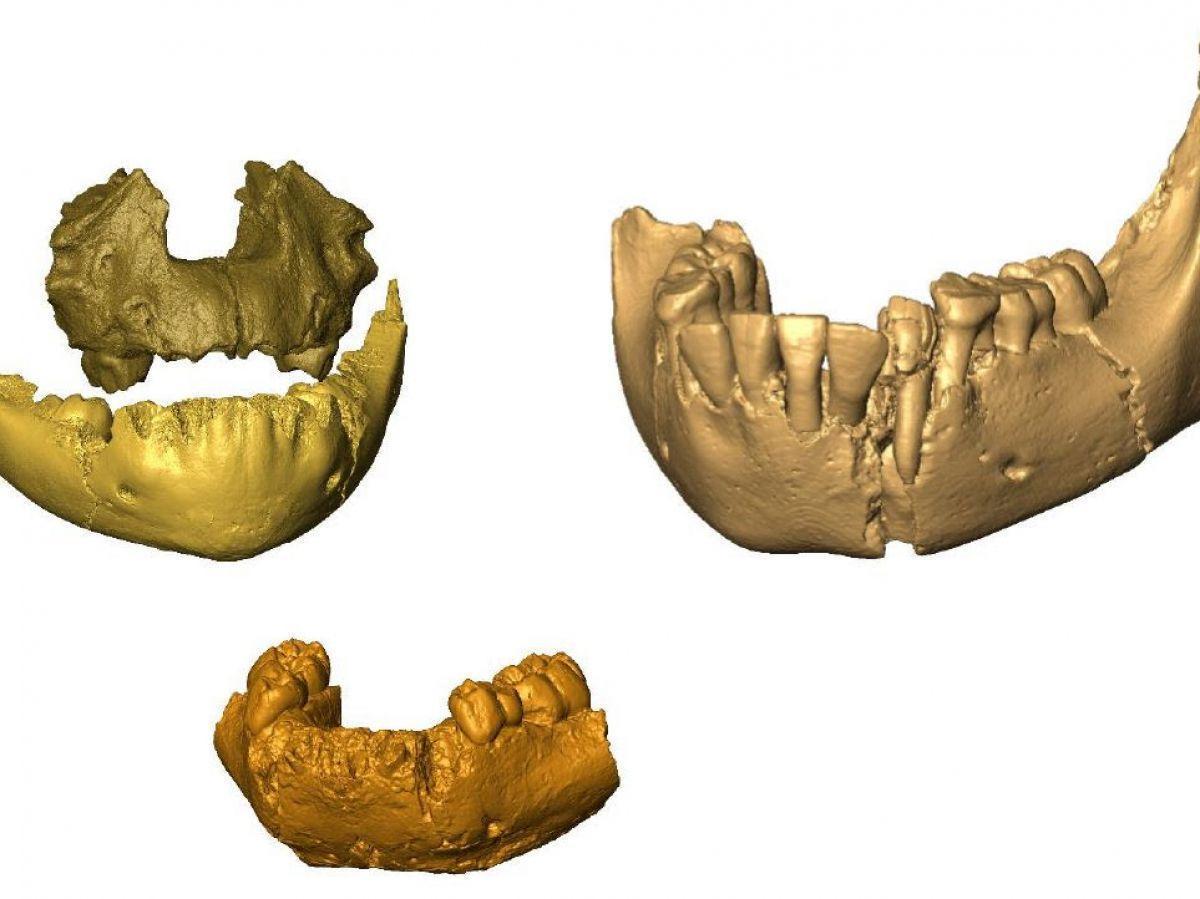 Bébés Anciens Réécrivent Histoire des Premiers Humains Bébés Anciens Réécrivent Histoire des Premiers Humains