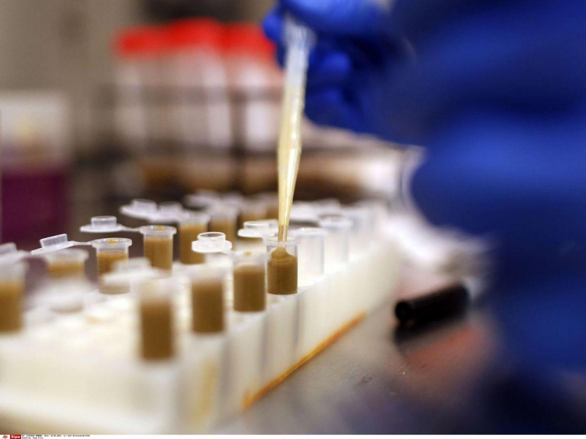 Transplantation Fécale: Pratique Risquée pour la Santé Transplantation Fécale: Pratique Risquée pour la Santé