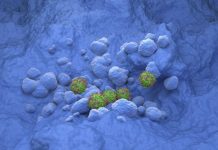 Promesses Anticancer de L’Immunothérapie Promesses Anticancer de L’Immunothérapie