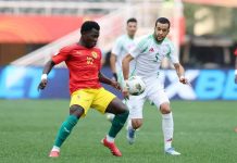 CHAN 2025: Syli National Éliminé Après Nul Contre Algérie CHAN 2025: Syli National Éliminé Après Nul Contre Algérie