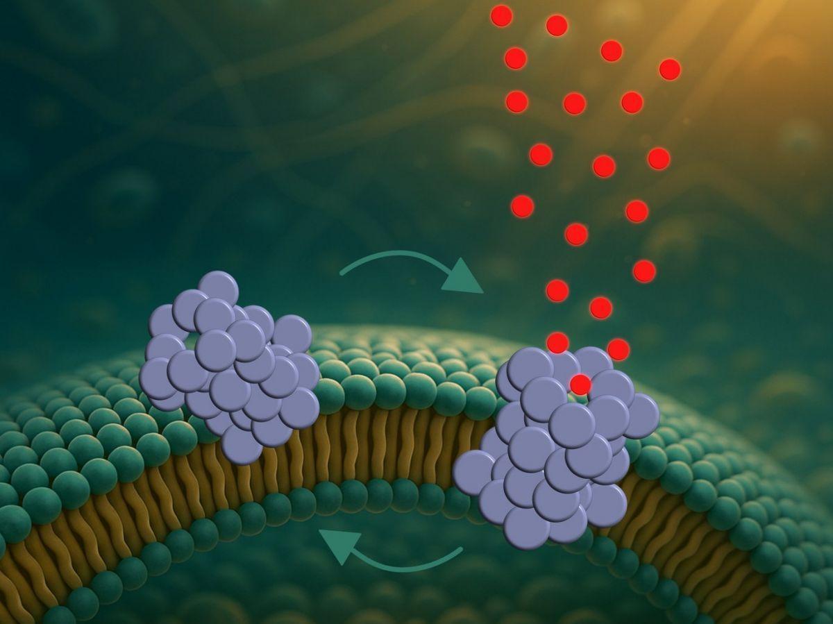 Maladie de Parkinson et Trous dans les Neurones Maladie de Parkinson et Trous dans les Neurones